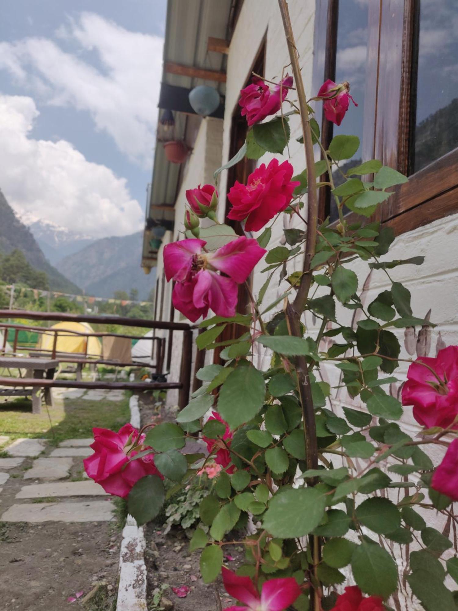 Himtrek Stays, Kasol Exterior foto